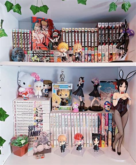 manga display shelves|More.